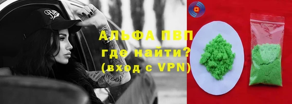 ПСИЛОЦИБИНОВЫЕ ГРИБЫ Бердск