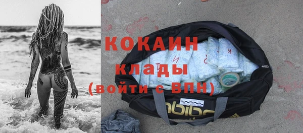 ПСИЛОЦИБИНОВЫЕ ГРИБЫ Бердск