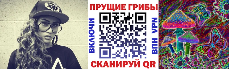 Галлюциногенные грибы ЛСД ОМГ ОМГ зеркало Скопин